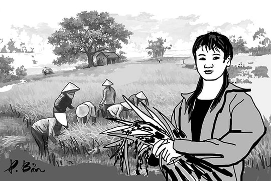 Đi gặt với mẹ